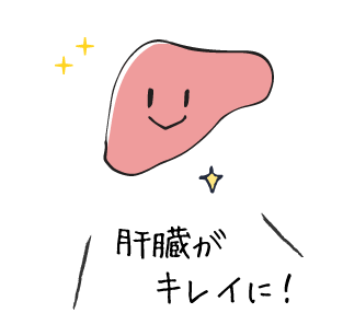 肝臓がキレイに